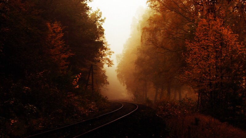 Train tracks in autumn forest