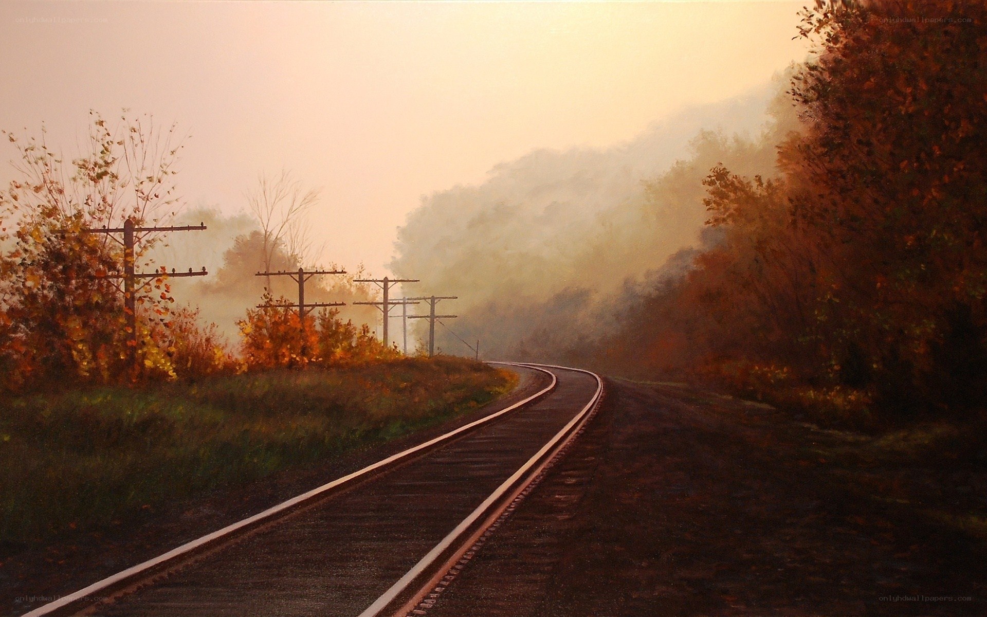 Train tracks in autumn mist
