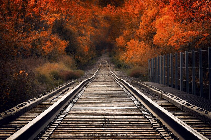 Train Tracks in Autumn — Orange, Serene