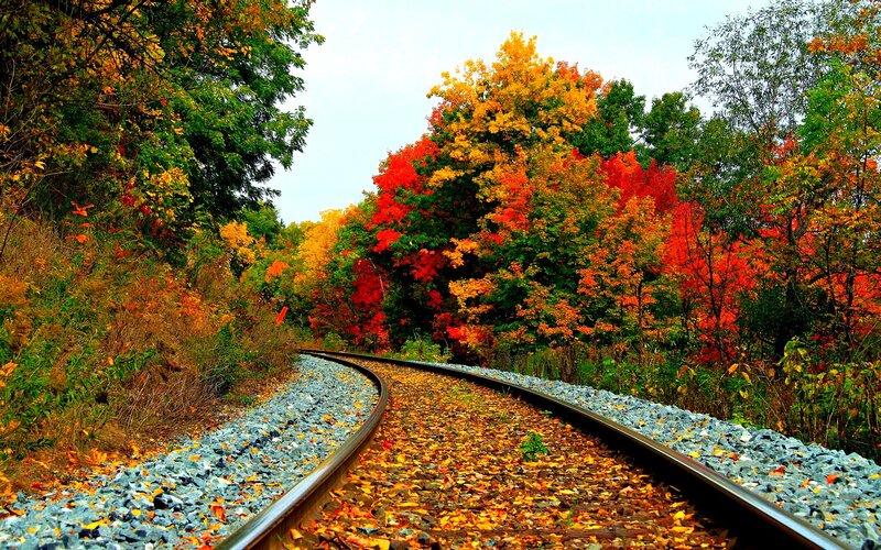 Train Tracks in Autumn — Red, Serene