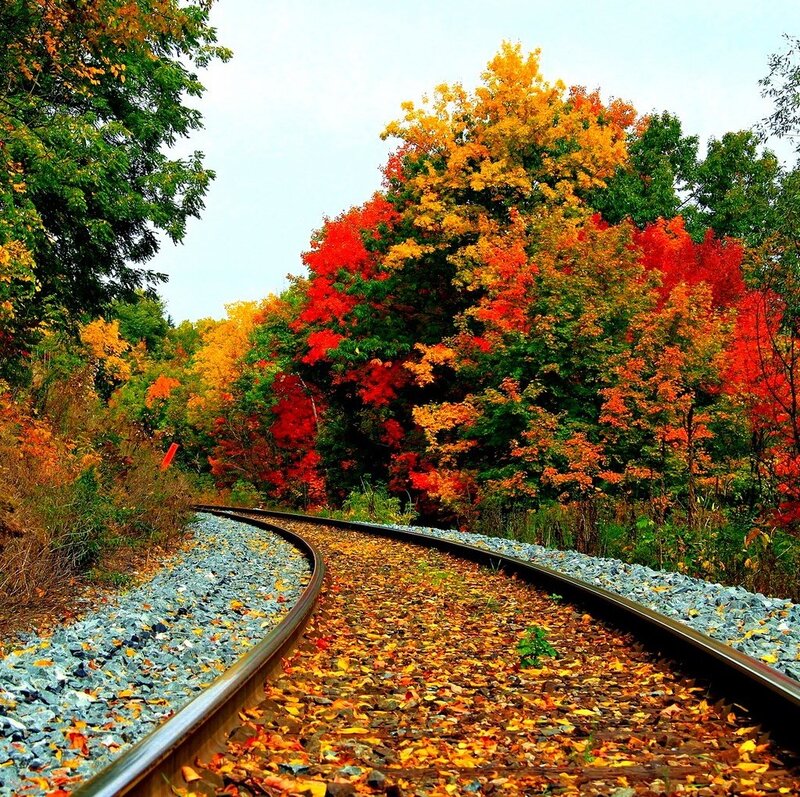 Train Tracks in Autumn — Red