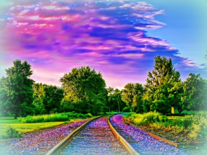 Train Tracks in Field — Purple