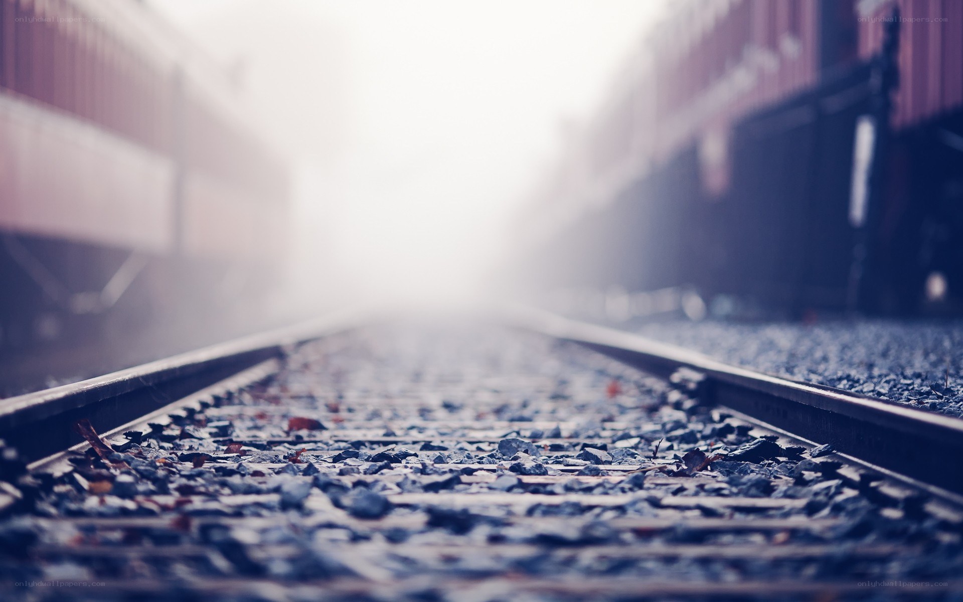 train tracks in fog