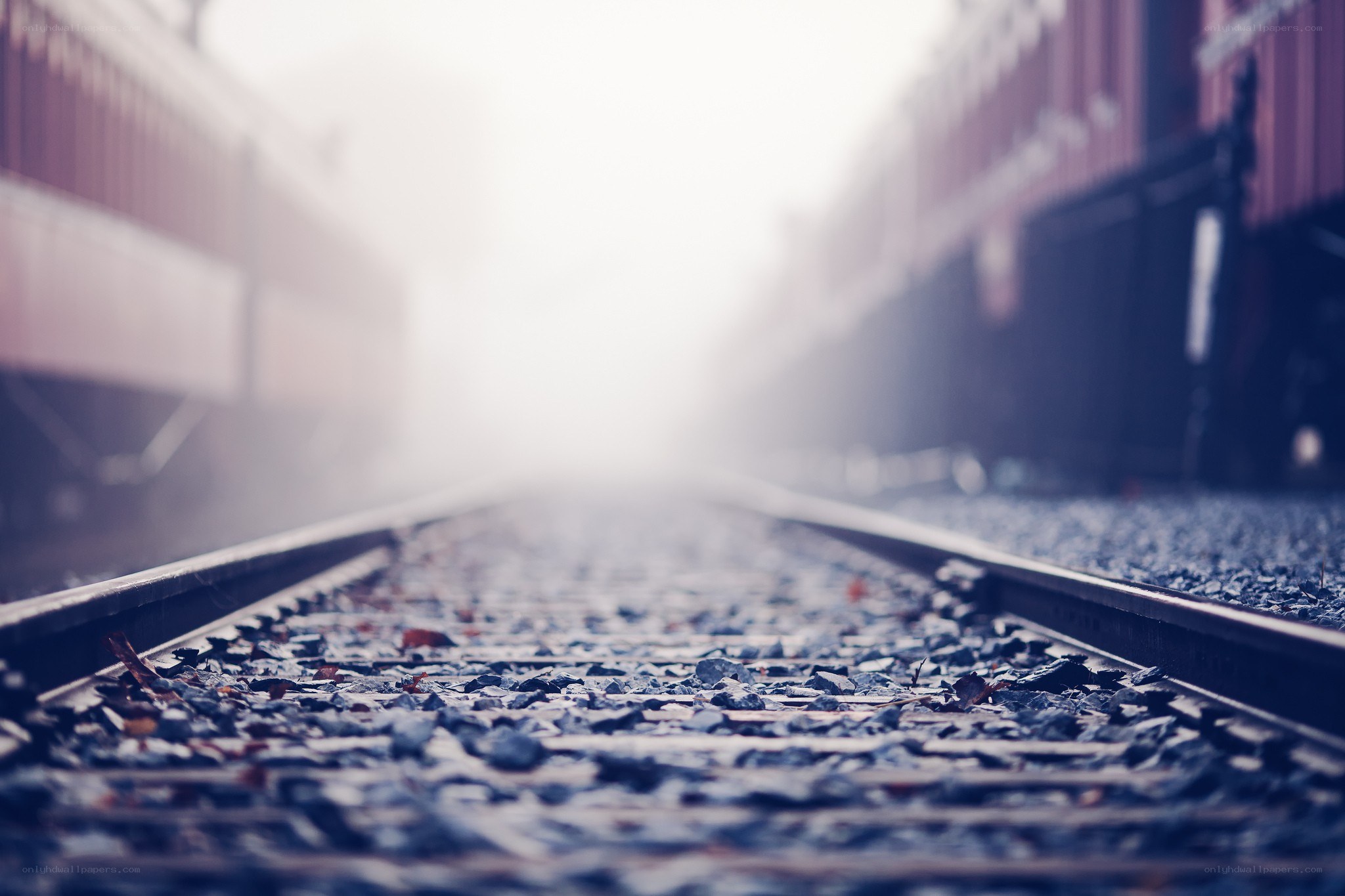 train tracks in fog