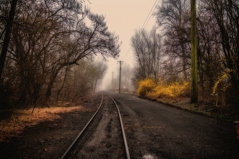 Train Tracks in Fog — Brown, Misty