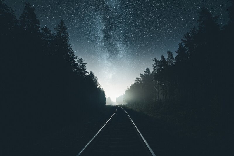 Train Tracks in Forest — Black