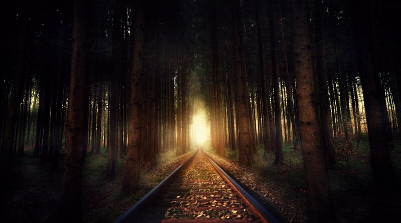Train Tracks in Forest — Brown, Dramatic