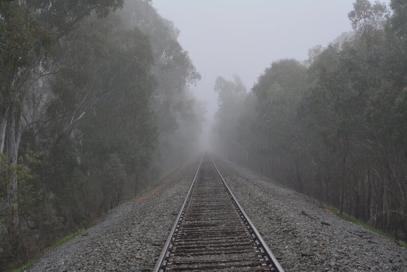 Train Tracks in Forest — Gray