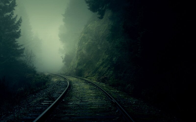 Train Tracks in Forest — Green, Dark