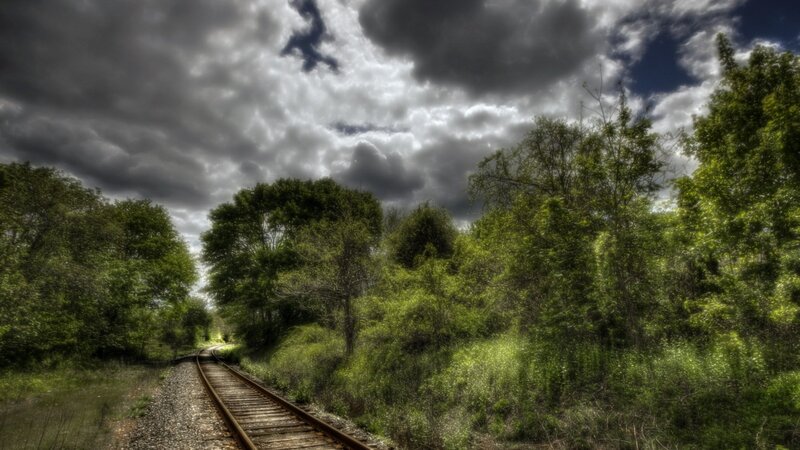 Train Tracks in Forest — Green, Dramatic