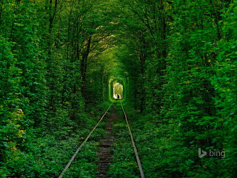 Train Tracks in Forest — Green, Serene, Afternoon, Photograph, Trees, Tunnel