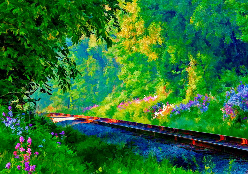 Train Tracks in Forest — Green, Serene, Afternoon