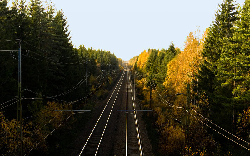 Train Tracks in Forest — Green, Serene, Autumn, Photograph, Trees, Power Lines