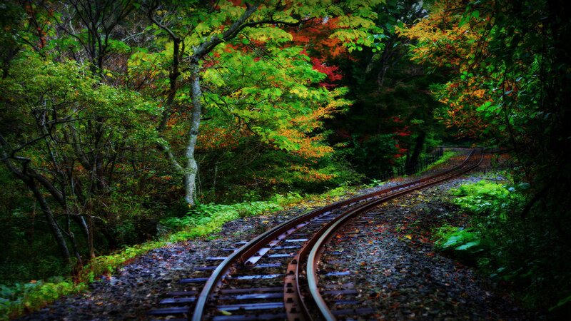 Train Tracks in Forest — Green, Serene, Autumn