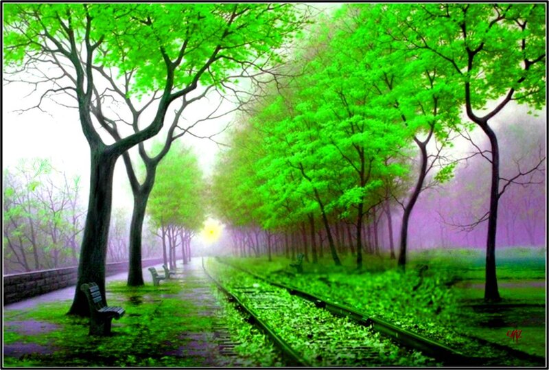 Train Tracks in Forest — Green, Serene, Morning
