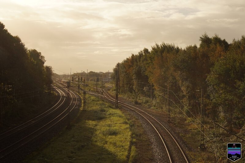 Train Tracks in Forest — Green, Serene, Sunset, Photograph