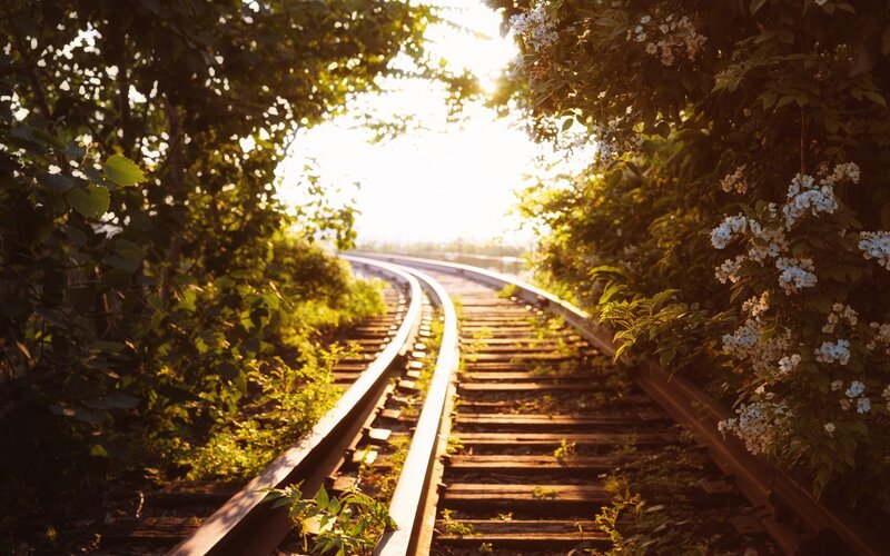 Train Tracks in Forest — Green, Serene, Sunset