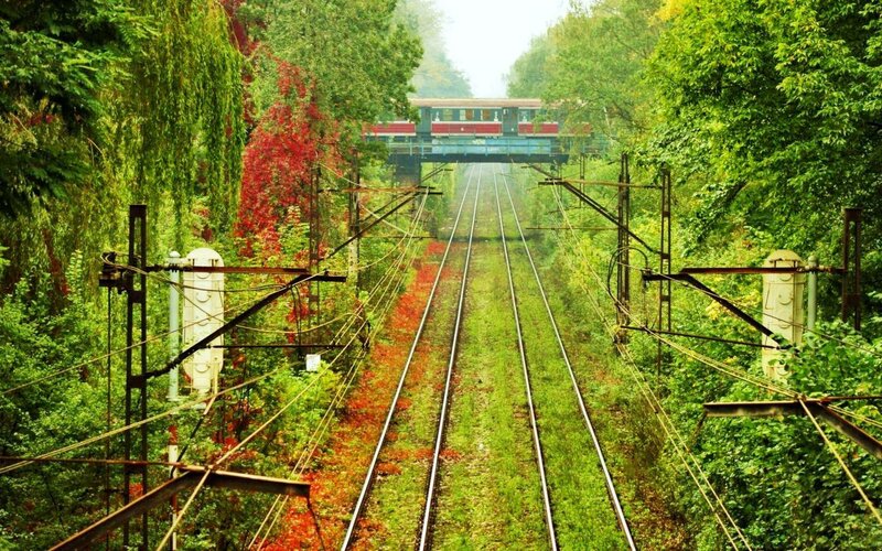 Train Tracks in Forest — Green