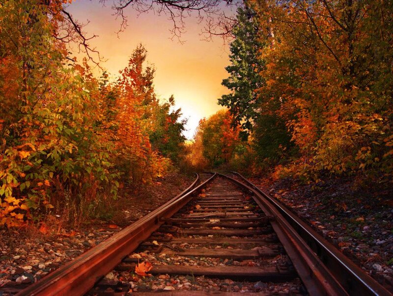 Train Tracks in Forest — Orange, Serene, Autumn, Photograph