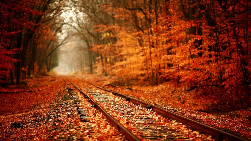 Train Tracks in Forest — Orange, Serene, Autumn, Photograph, Trees, Leaves