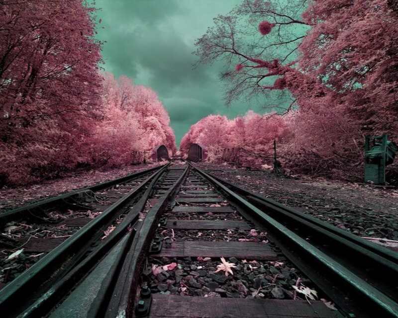 Train Tracks in Forest — Pink, Dramatic