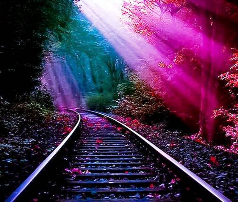 Train Tracks in Forest — Purple