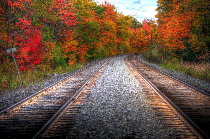 Train Tracks in Forest — Red, Serene, Autumn, Photograph