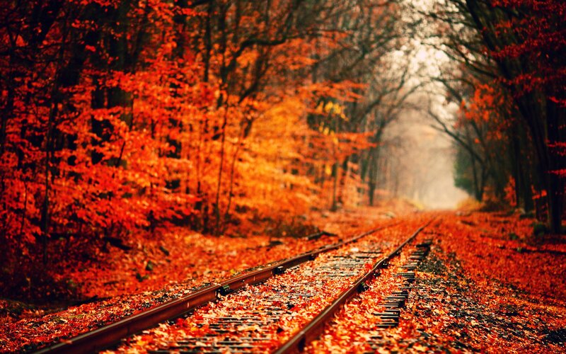 Train Tracks in Forest — Red, Serene, Autumn