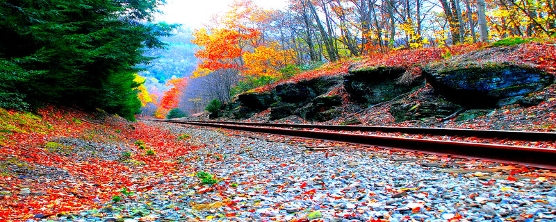 Train Tracks in Forest — Red