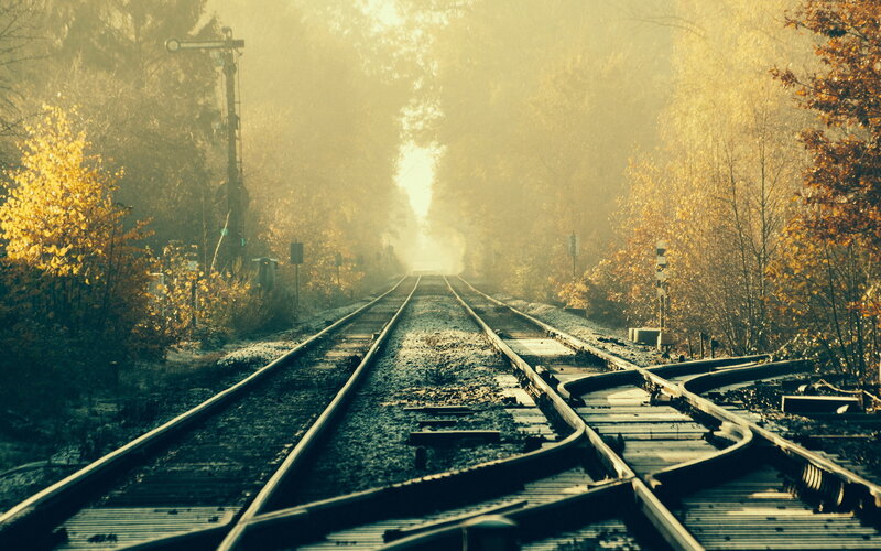 Train Tracks in Forest — Yellow, Misty