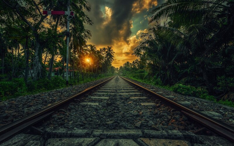Train Tracks in Jungle — Green, Dramatic