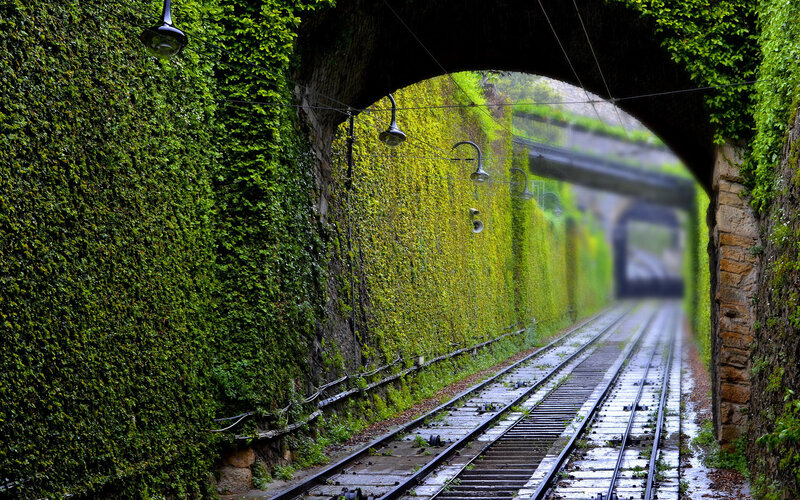 Train Tracks in Tunnel — Green
