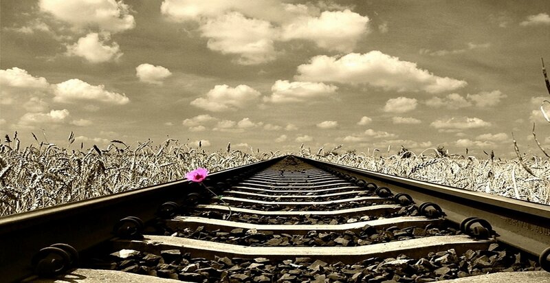 Train Tracks in Wheat Field