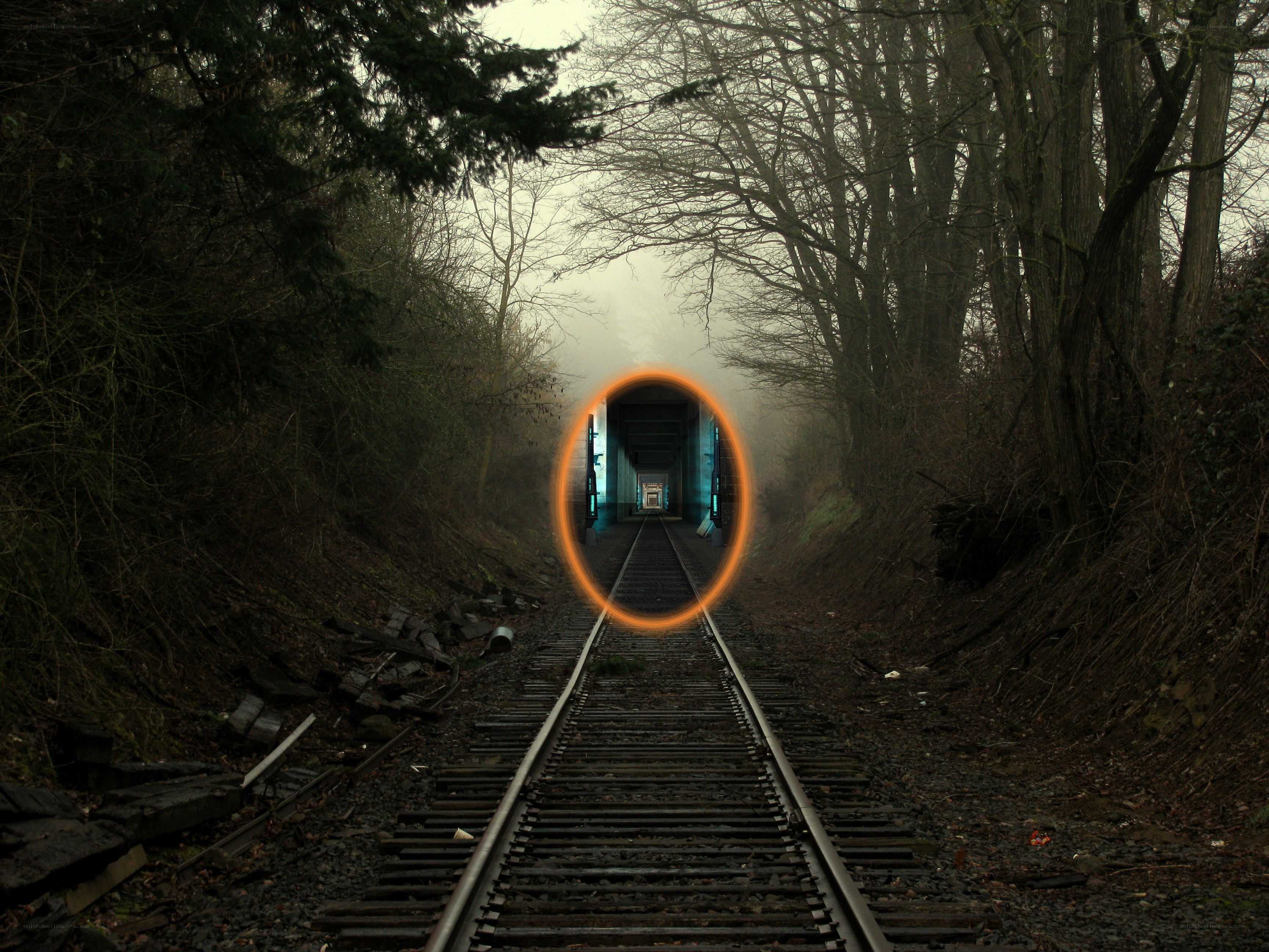 Train tracks leading to a tunnel