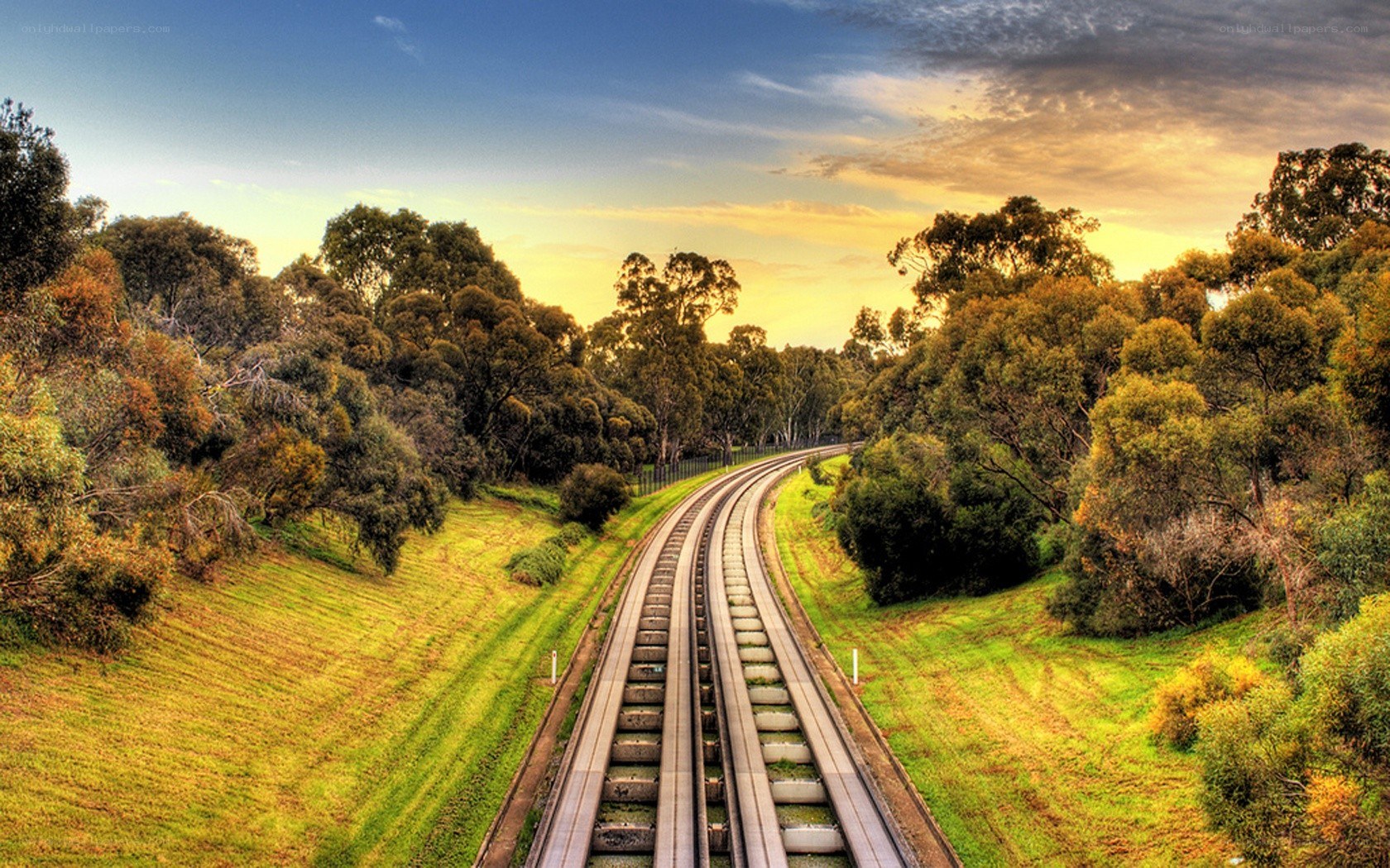 Train tracks through a forest at sunset