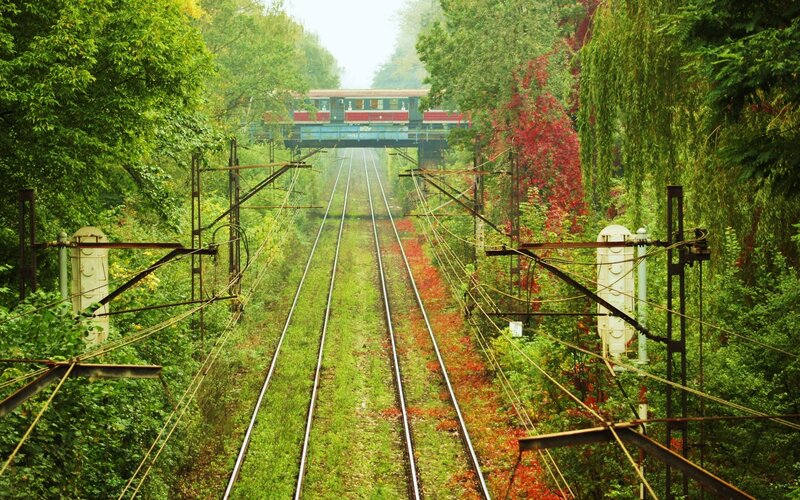 Train tracks through a forest