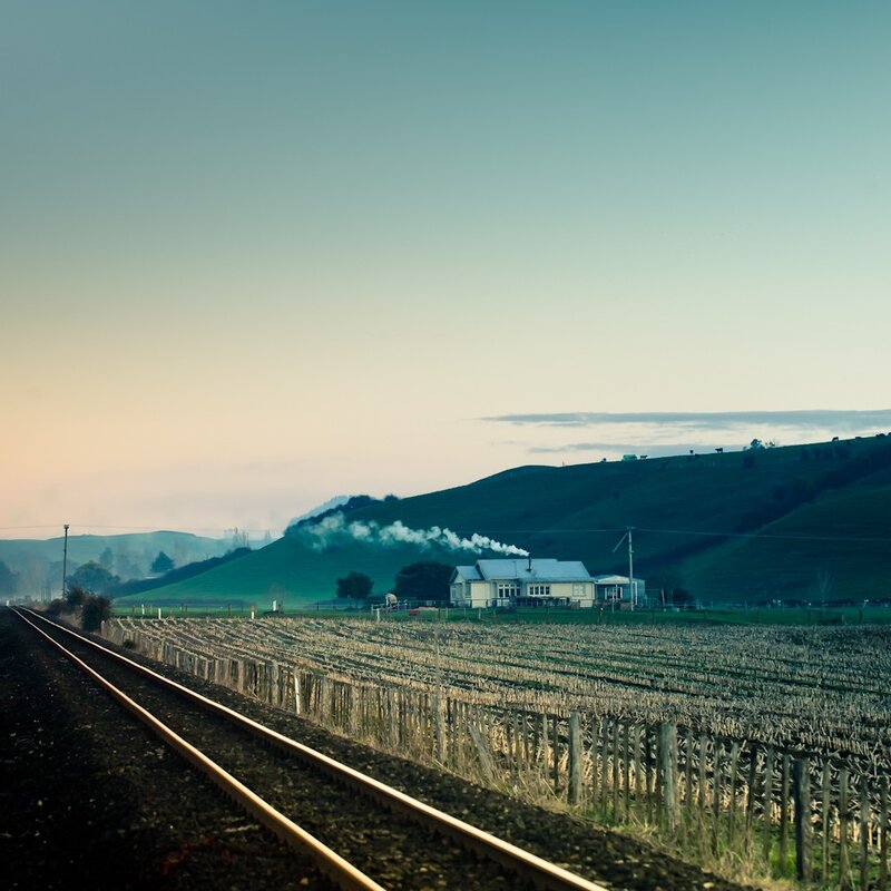 Train tracks through a vineyard