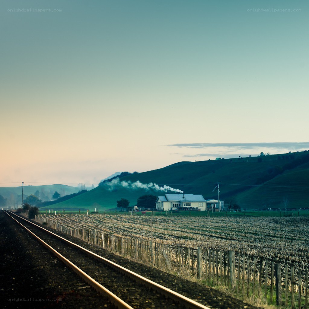 Train tracks through a vineyard