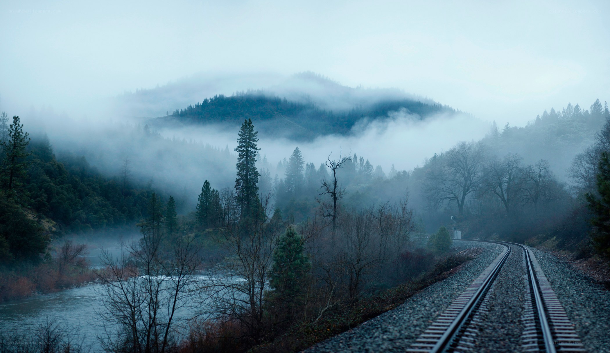Train tracks through foggy forest