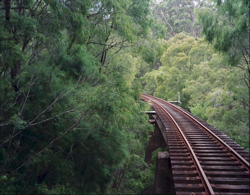Train tracks through forest