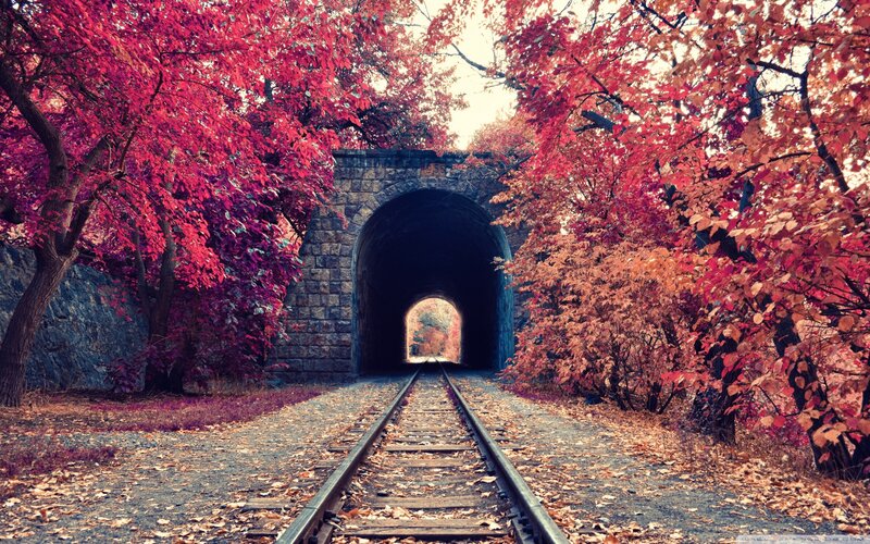 Train Tracks Through Tunnel — Red