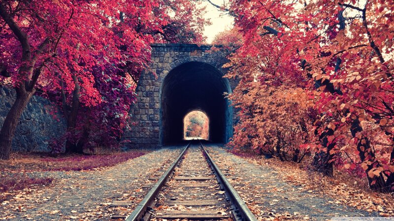 Train Tracks Through Tunnel