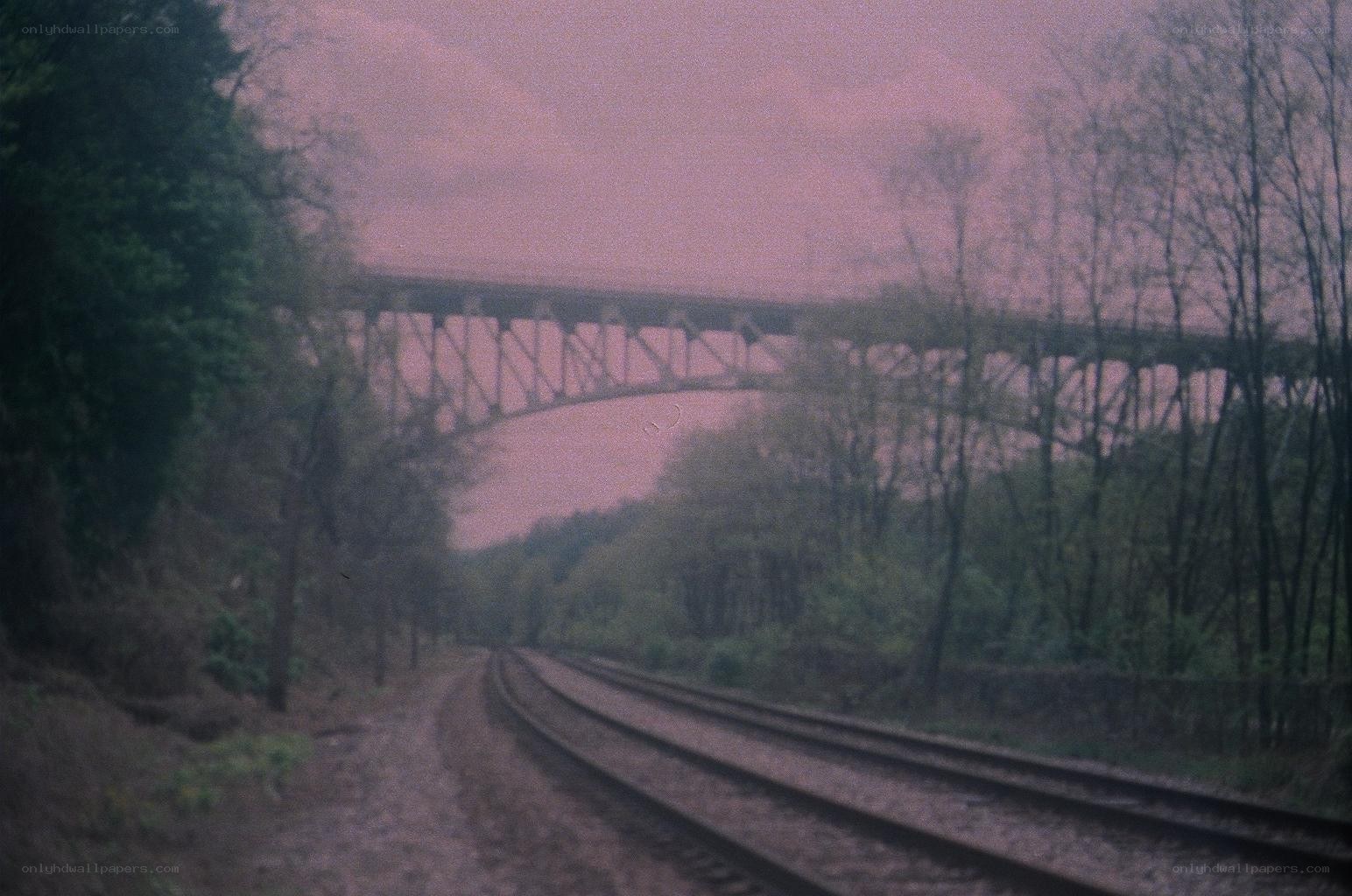 Train tracks under a bridge