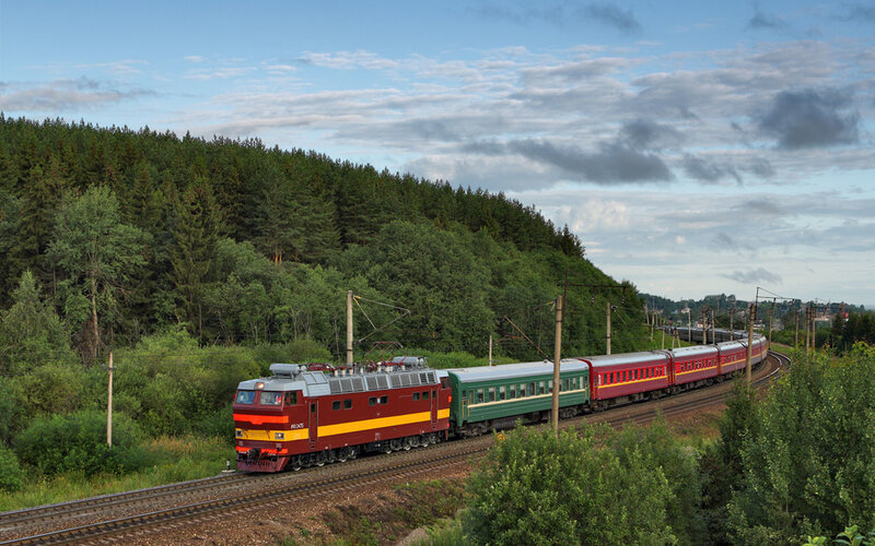 Train traveling through forest