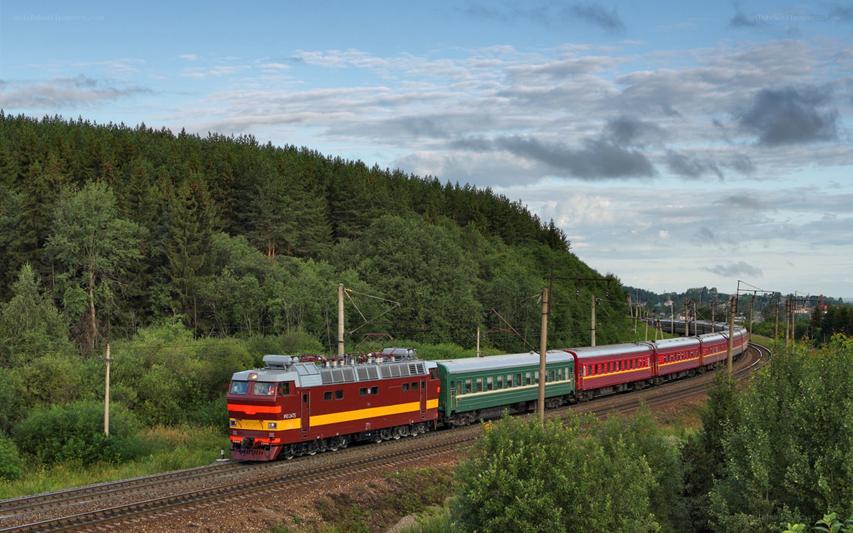 Train traveling through forest