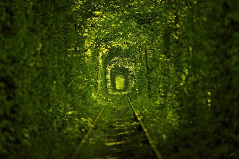 Train Tunnel with Green Foliage
