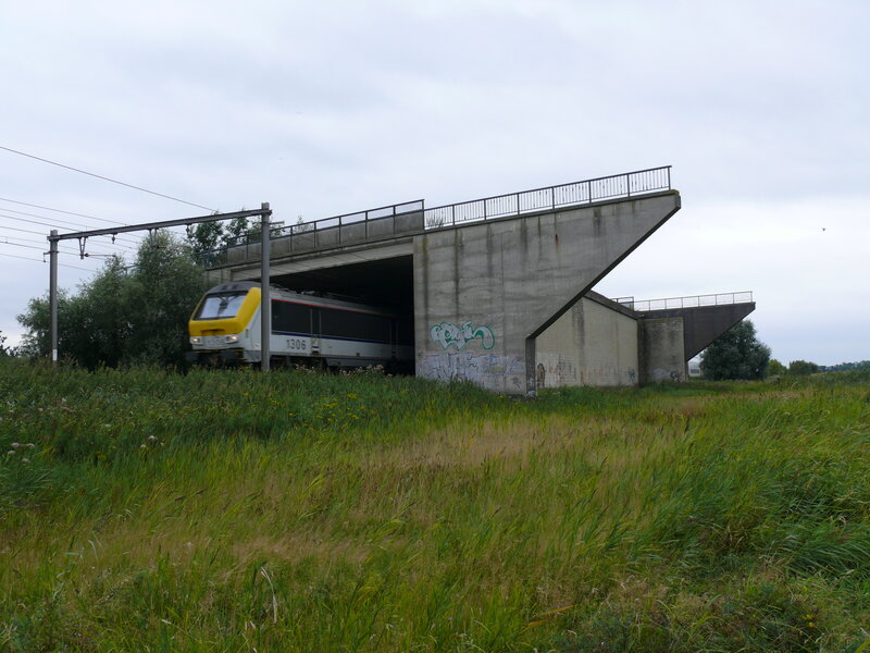 Train under Bridge — Green