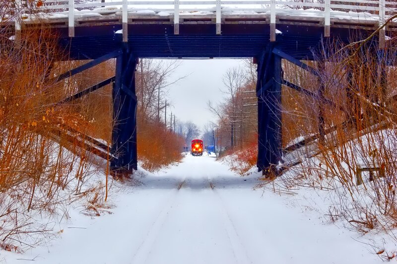 Train under Bridge