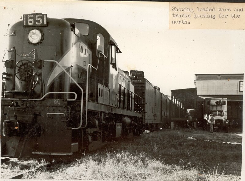 Train with loaded cars and trucks