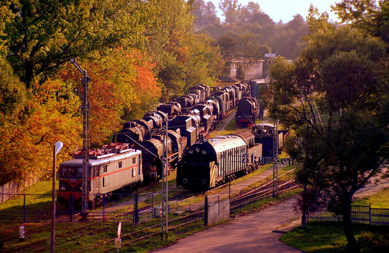 Train yard with locomotives
